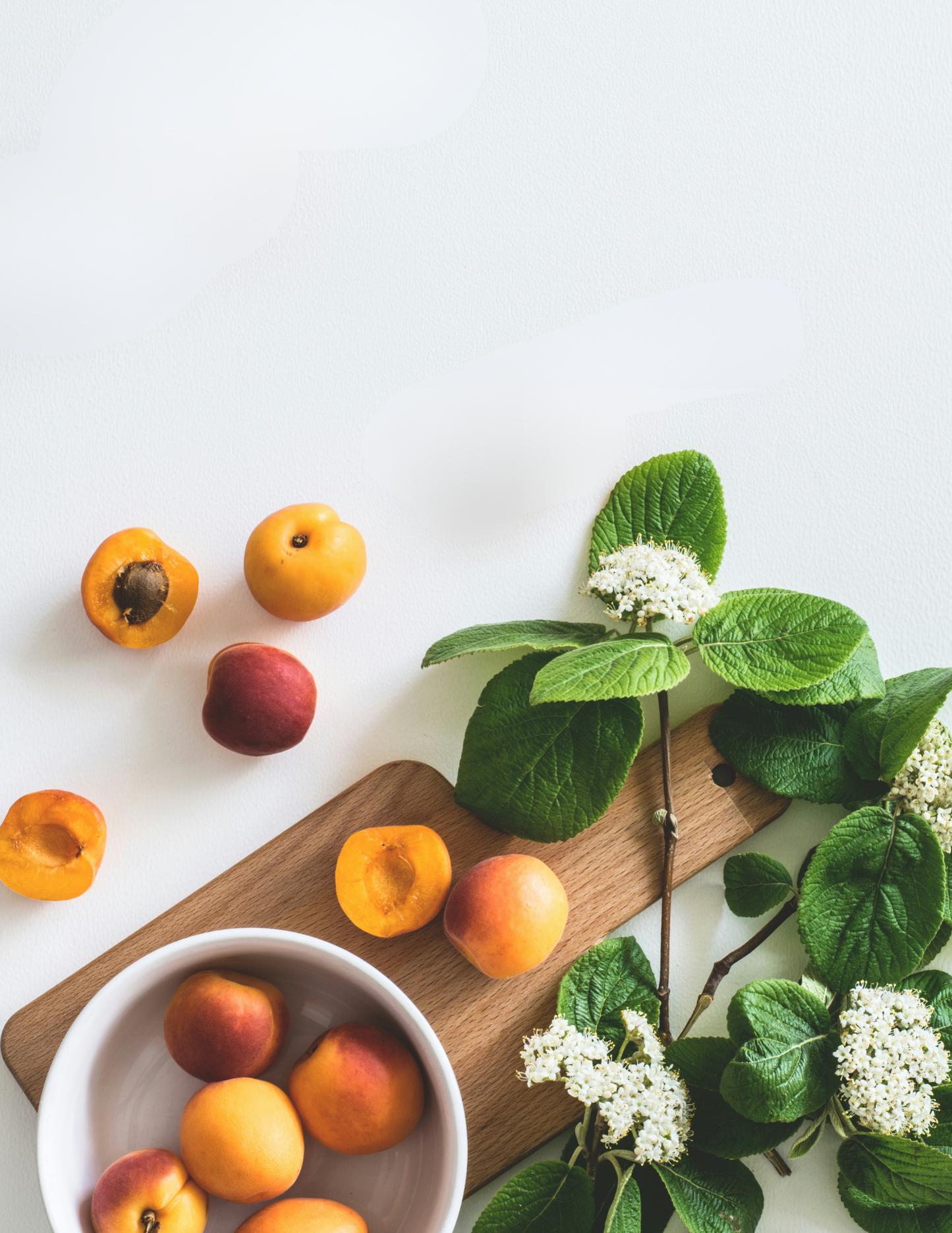 The Brain Health Reset